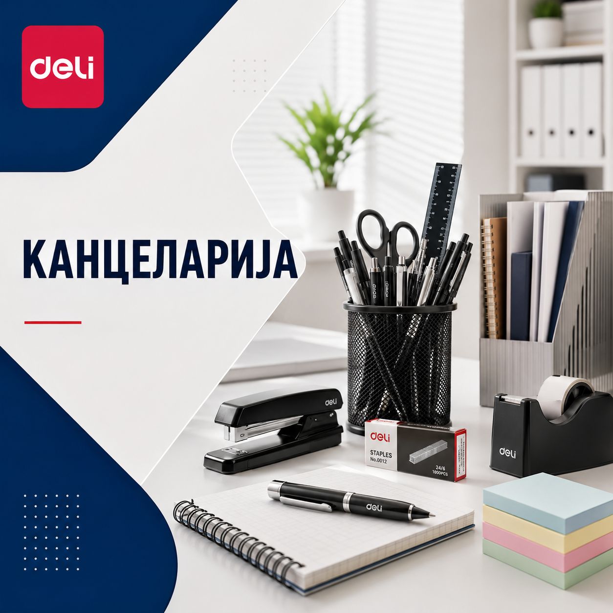 Discover Collection →