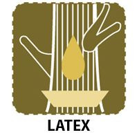 Латекс