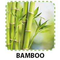 Бамбус