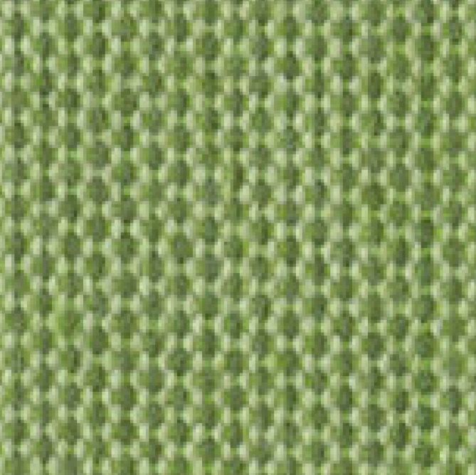 Avocado .139