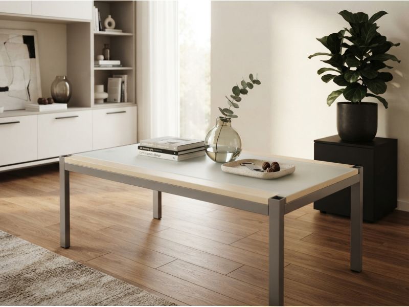TS805 Coffee Table