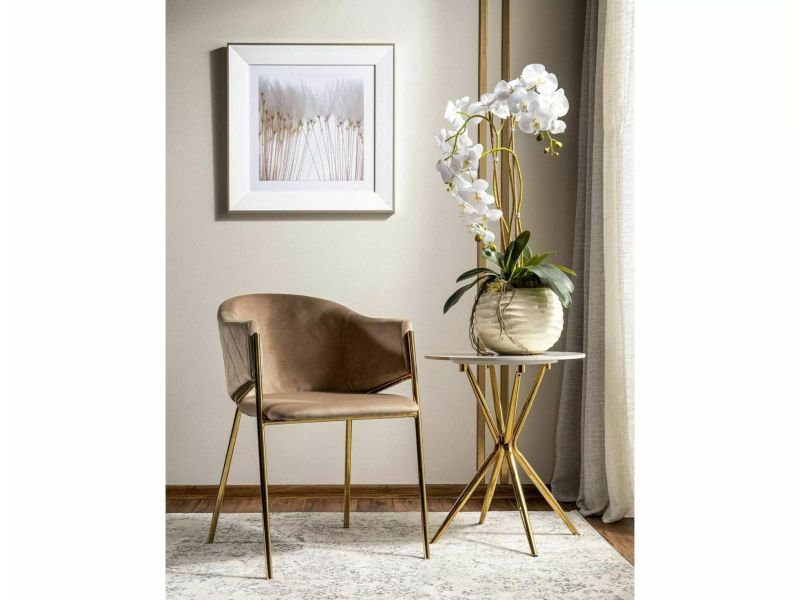 S-Azalia Coffee Table