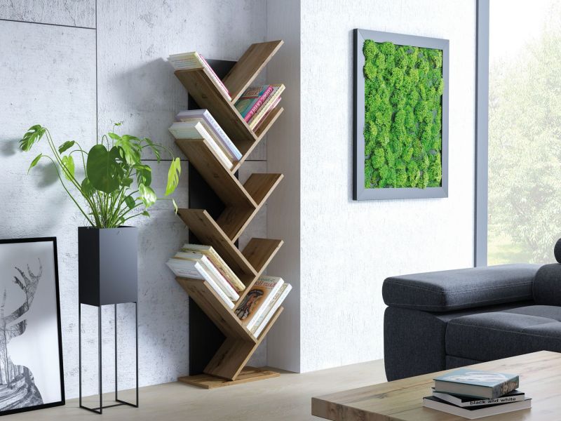 S-Noel Shelf