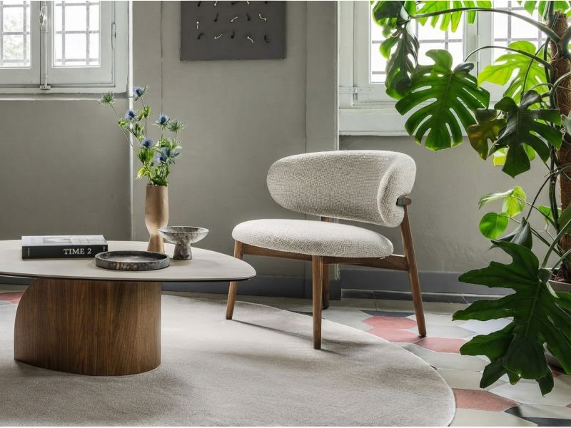 Oleandro Armchair