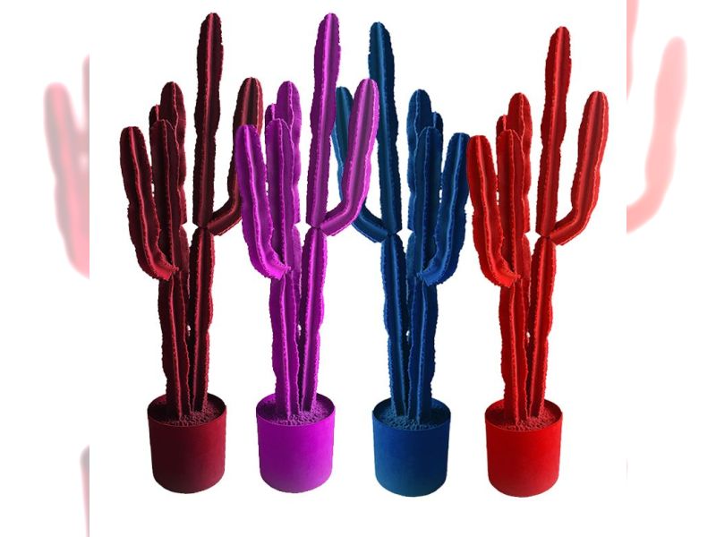 Cactus Decoration