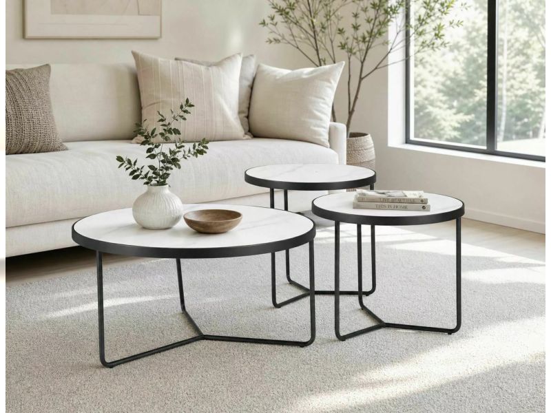 S-Demeter Coffee Table Set