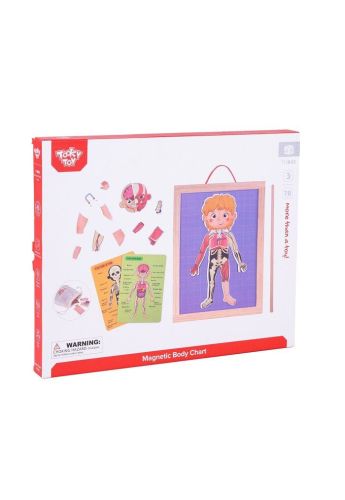 Body Magnetic Chart - TH842