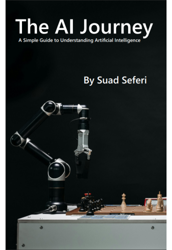 The AI Journey