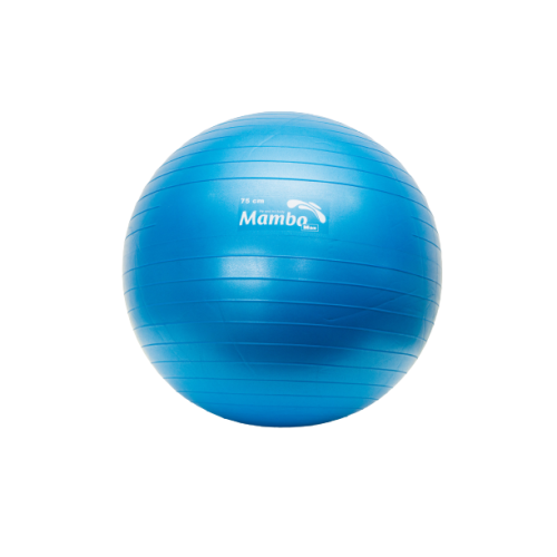 Fiziotopi me AB sistem pa pompë