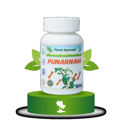 АЈУРВЕДА АМАЛАКИ РАСАЈАНА