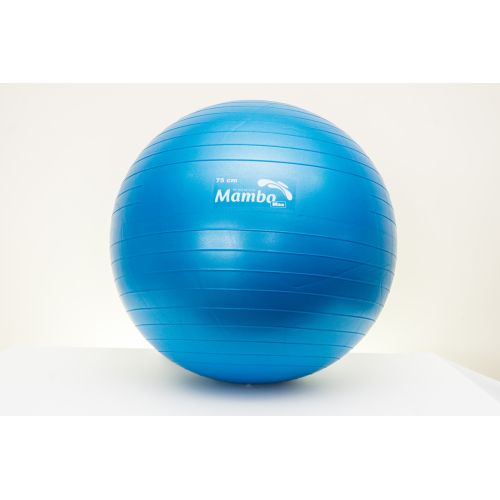 Fiziotopi me AB sistem me pompë