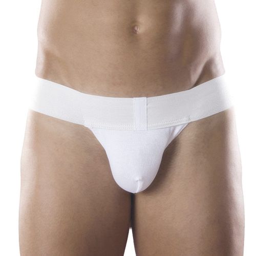 Суспензориум