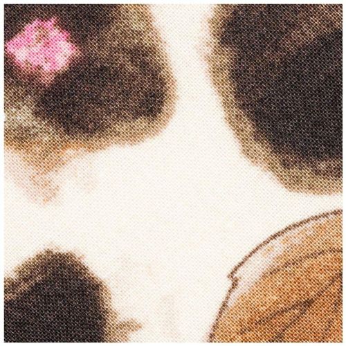 Турбан мису бич