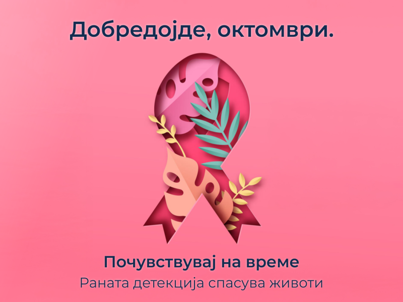 E gjitha fillon me një rishikim