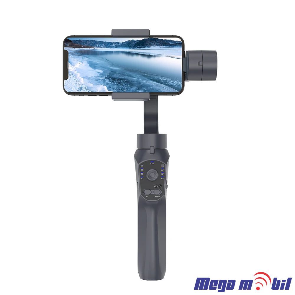 Gimbal F10.