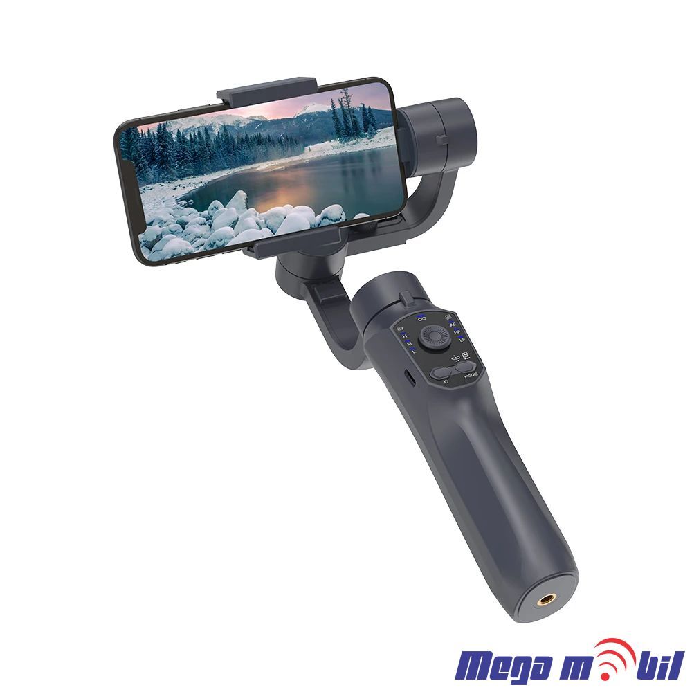 Gimbal F10.