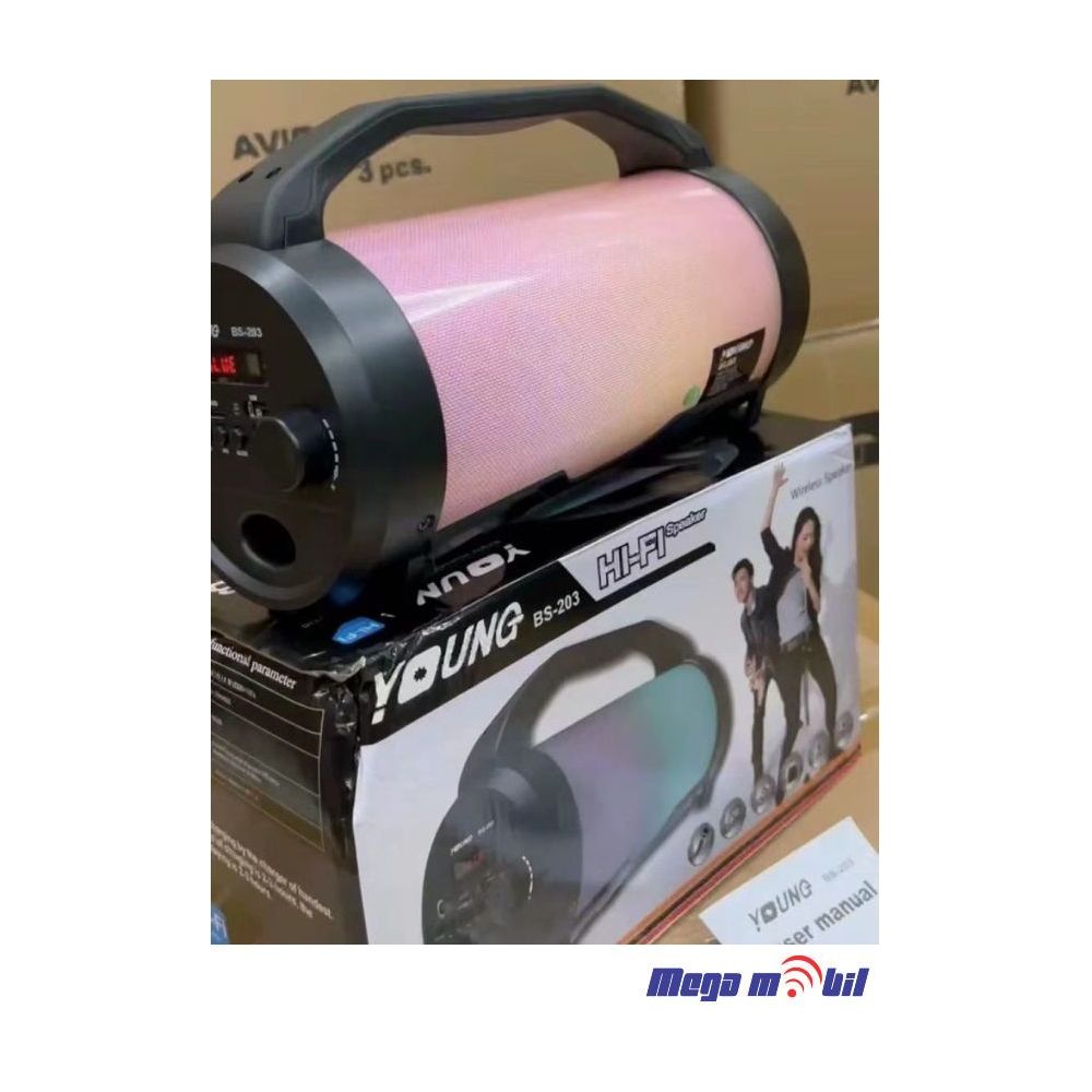 Zvucnik Bluetooth BS203.