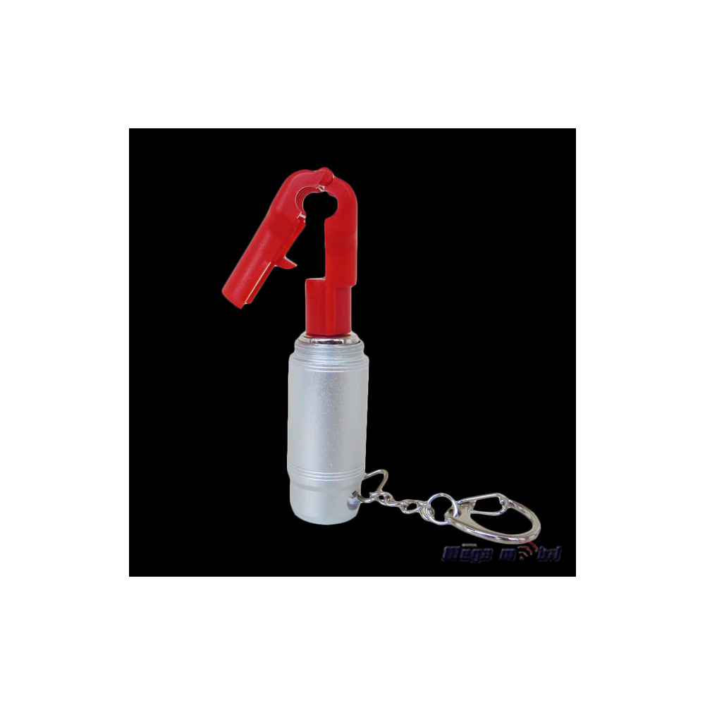 Key for Plastick Locker