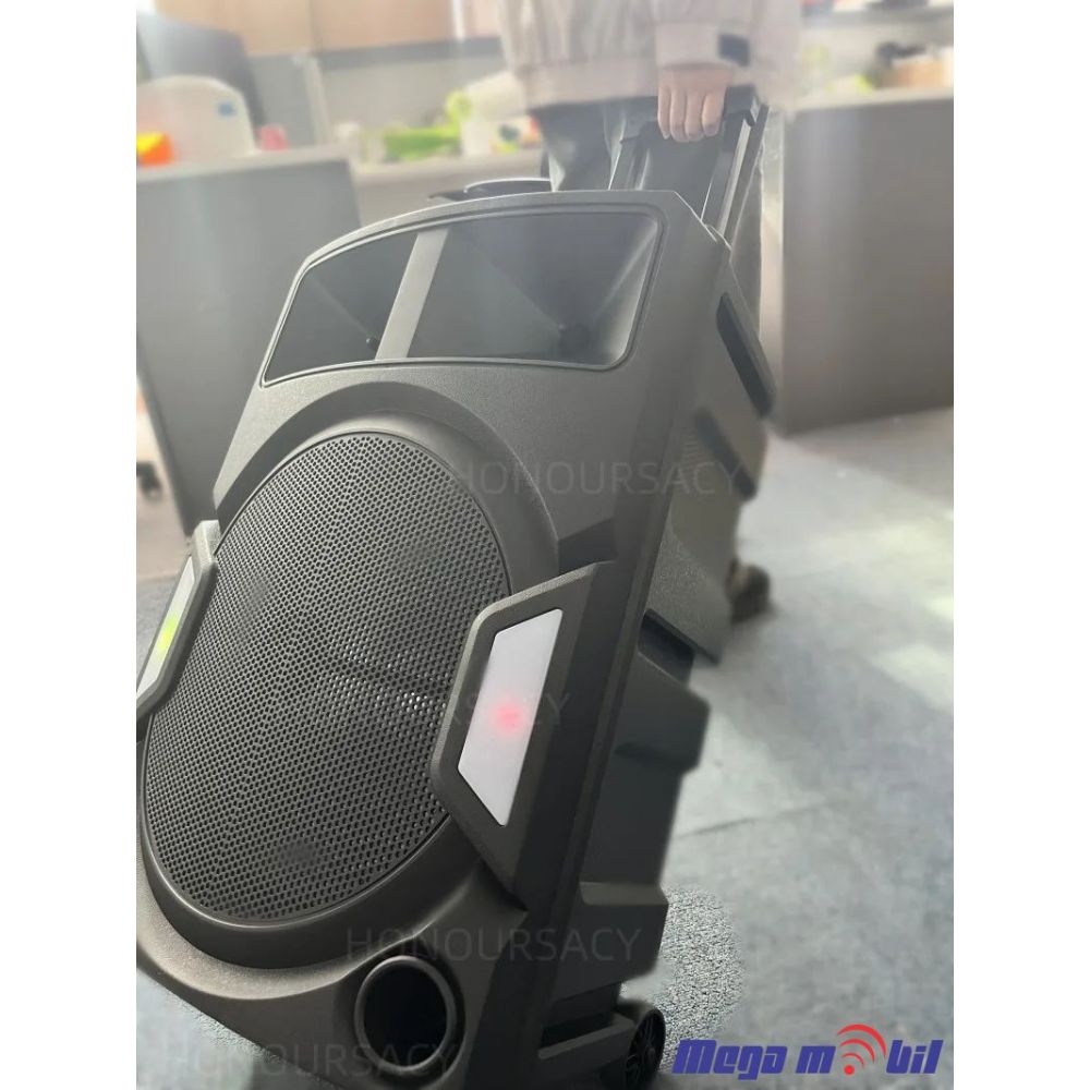 Zvucnik Bluetooth Karaoke ZQS15112