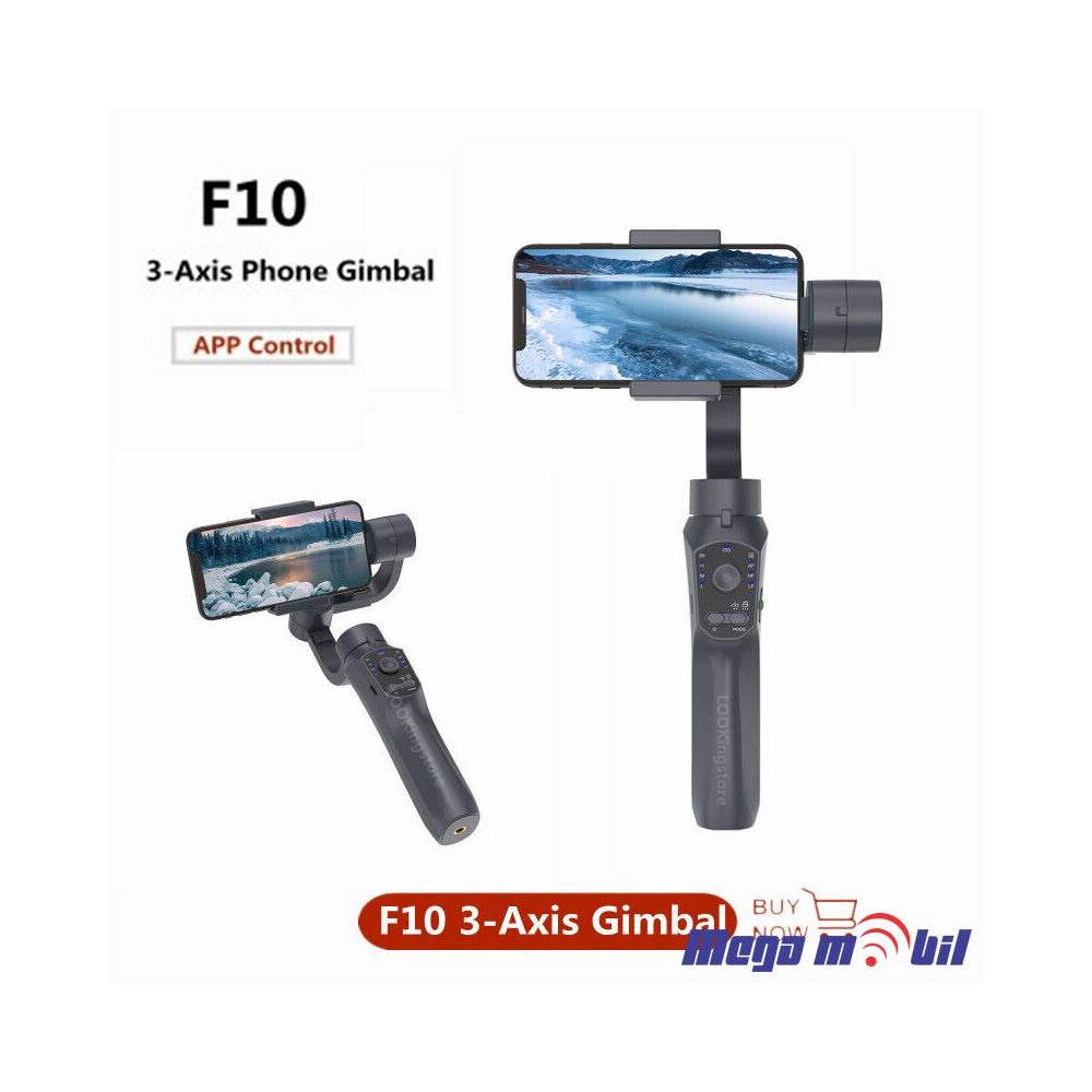 Gimbal F10.