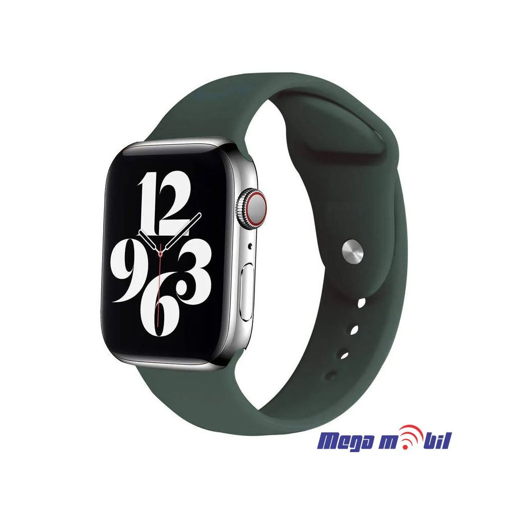 Remce za Smart Watch Apple Silicon 42/44mm green