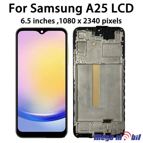 Ekran Samsung A256B/ A25 SO RAMKA full org SH