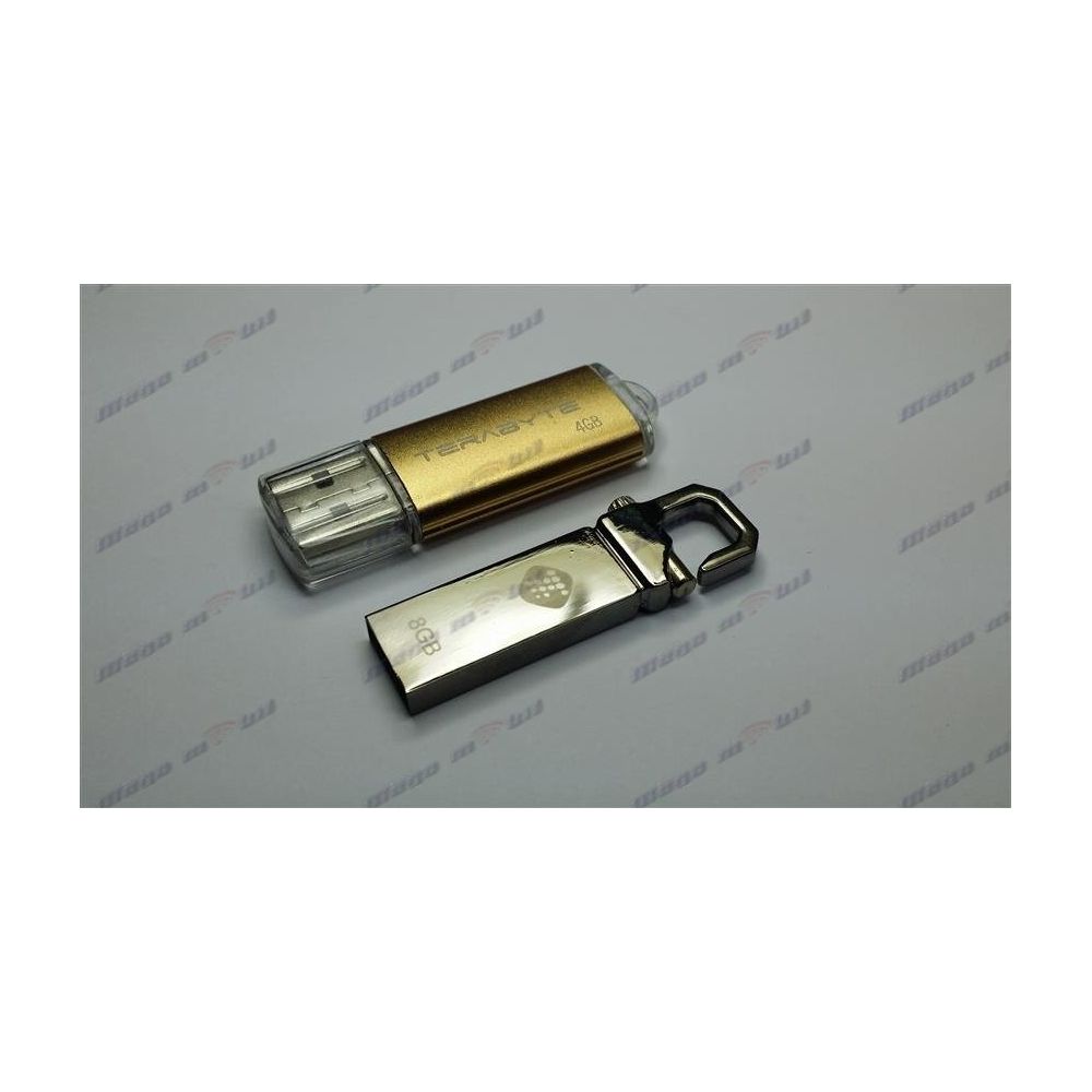 USB Flash Stick 8GB Terabyte
