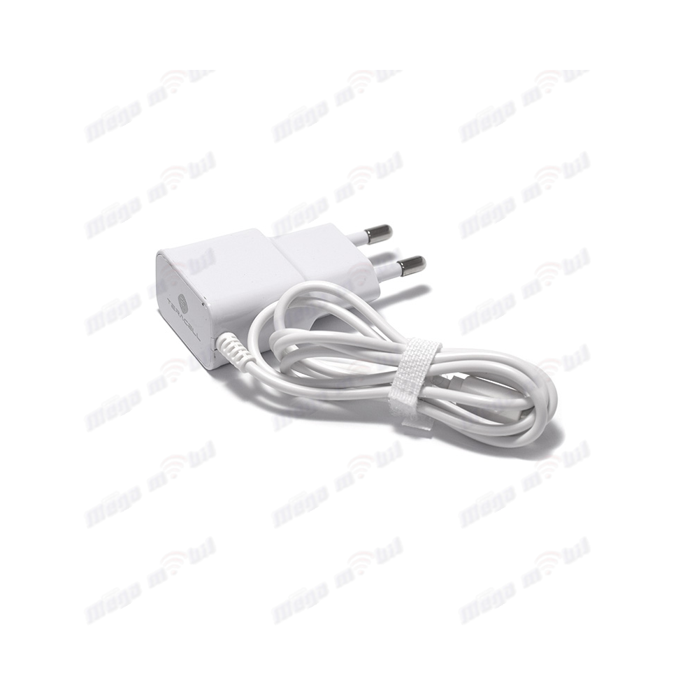 Polnac 220V iPhone TC-1AC.