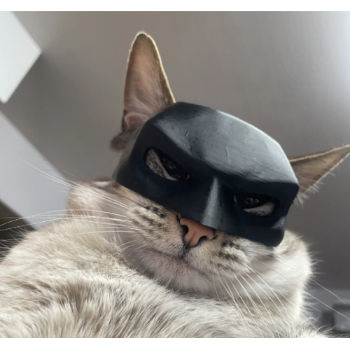 Вирална маска за мачка Бетмен DeGalic