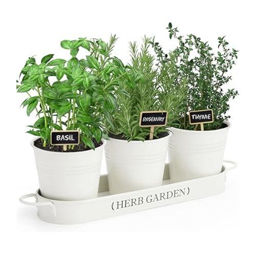 Сет за цвеќиња Zeller 19405 37D x 10.5W x 11H