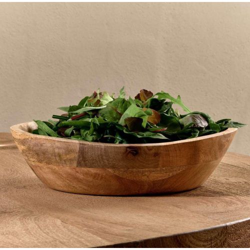 Сад за салата од манго EH A55600240 23X23X6CM